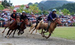 Khám phá thông tin về Đua Ngựa Bắc Hà